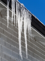 icicles hanging from an overflowing frozen black eaves trough downspout
