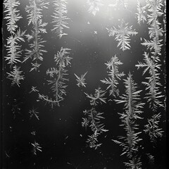 b'Black and white photo of frost on a window'