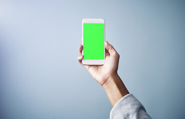 Person, hand and phone with green screen for advertising or marketing on a gray studio background....