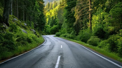 Fototapeta premium view Beautiful road route between forests