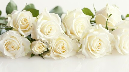 Elegant white roses with delicate petals set against a pristine white backdrop perfect for adding a touch of grace to wedding birthday Valentine s Day or Mother s Day cards