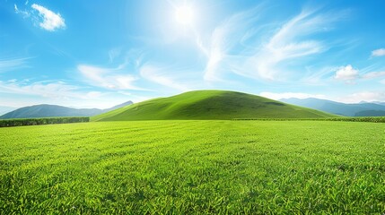 Fototapeta premium b'Green rolling hills under blue sky'