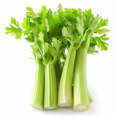 b'Fresh green celery stalks isolated on white background'