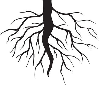 silhouette of a Plantilla