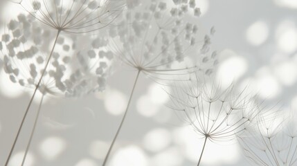 A collection of airy and light patterns dots and lines evoking the intricate nature of dandelion seeds..