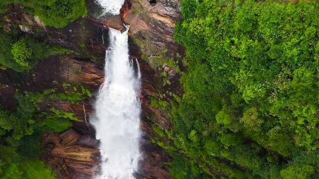 waterfall among tropical jungle with green plants and trees gartmore falls sri lank HD 