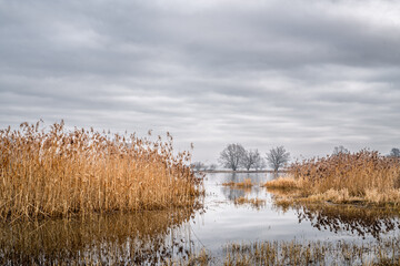 Landschaft an der Oder