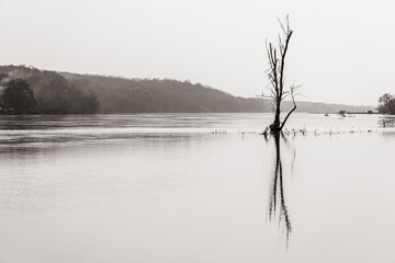 Landschaft an der Oder