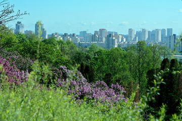 Fototapeta na wymiar Landscape botanical park on a bright sunny spring day