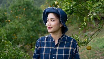 Young Asian female in denim hat, plaid shirt, admires lush orange grove, expression content, embodies harmony with nature. Working in orange orchard ready for harvest