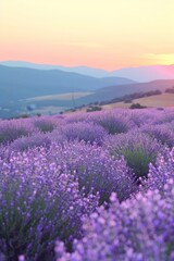 Stunning lavender field with vertical layout, ideal copy space for social media and advertising