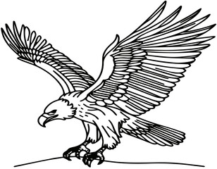 Eagle emblem isolated on white illustration. American eagle. Bird symbol