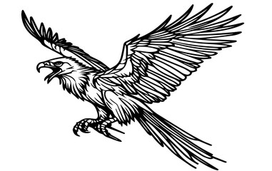 eagle in flight, flying eagle vector design illustration