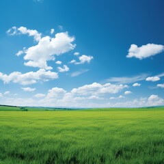 Fototapeta premium The lush green field stretches as far as the eye can see