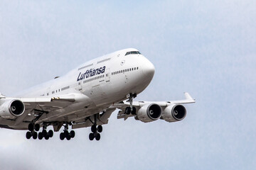 Fototapeta premium Toronto, Canada, April 4, 2022; view of wing and front section of a Lufthansa Boeing 747 landing at Toronto Pearson Airport, YYZ, from Frankfurt, Germany