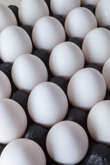 Fresh white chicken eggs in a black cardboard boxes. Creative copy space top view