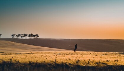 A sunset over a wheat field