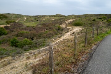 way and fence in the dunes