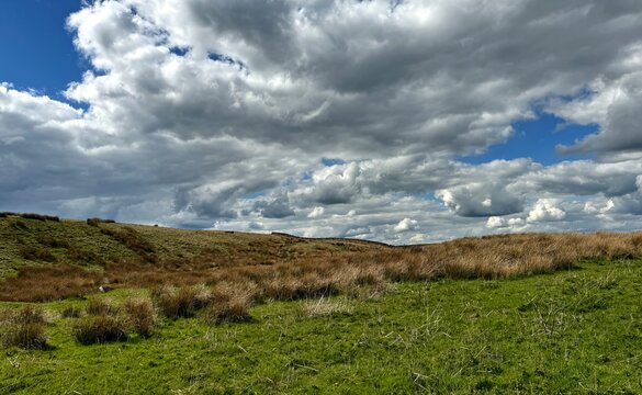 Late winter, with rolling hills covered with green grass, and patches of brown vegetation, under a dramatic sky, filled with billowing white clouds near, Whitehills Road, Keighley, UK