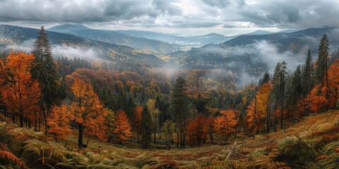 Breathtaking view of the forest in autumn in the mountains