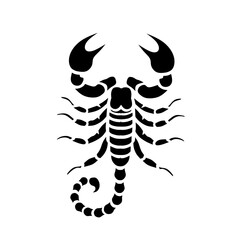 Scorpio zodiac sign. hand drawing scorpion illustration. 