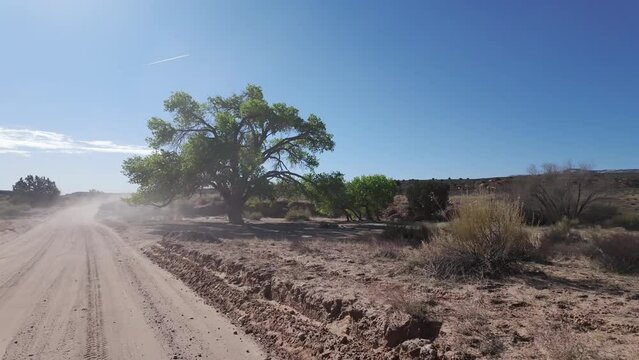 Driving down hole in the rock road past cottonwood tree in the Utah desert.