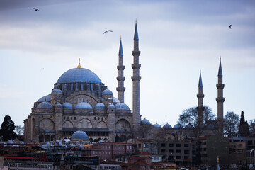 Fototapeta na wymiar birds flying over bebek camii, istanbul, turkey