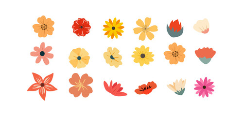 Set of spring flowers, flower botanical element isolated on white background, flowers hand drawn vector illustration
