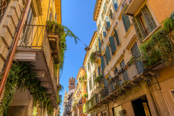 A picturesque narrow street with plant filled balconies in the medieval historic center of Verona, Italy with the 14th century Torre del Gardello tower in view behind.