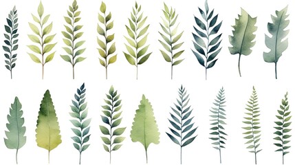 Assorted watercolor leaf illustrations depicting a variety of natural green tones and shapes