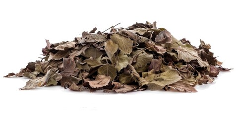 A pile of dried leaves on a white surface. Suitable for autumn-themed designs