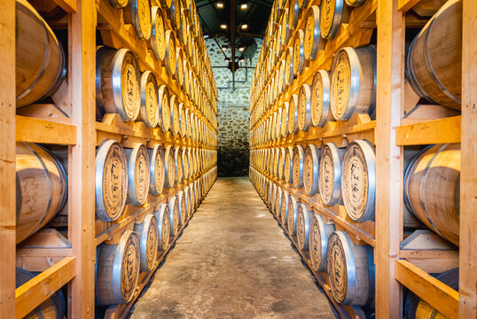 Stockage de tonneaux de rhum, distillerie de rhum de l'habitation Cl&eacute;ment dans la commune du Fran&ccedil;ois, en Martinique, Antilles Fran&ccedil;aises.