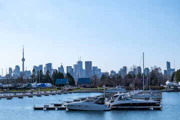 Toronto skyline and boats in marina spring