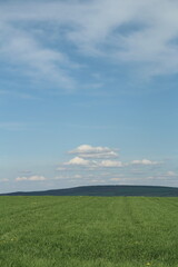 A grassy field with clouds in the sky