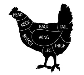Chicken meat cuts silhouette scheme. Butcher diagram, shop plans. . Cuts of meat for butchery, meat shop, restaurant, grocery store. Wing, breast, back, neck, head,  thigh, tail, leg