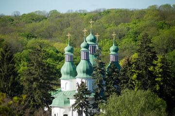 Spring Park: Mushroom, Fern, and Church on the Hill