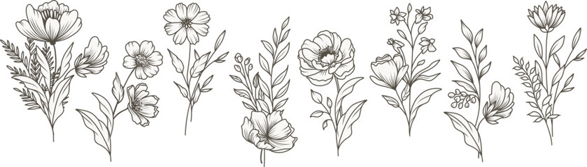 Hand drawn floral pattern in line art style. Bouquet set. Trendy botanical elements of wild and garden plants, branches, leaves, flowers, herbs. Vector illustration