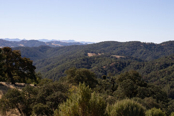 lush mountains