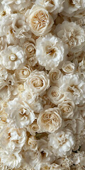 Elegant Ivory and Cream Roses Background for Special Occasions