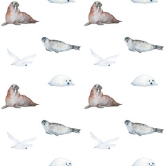 Watercolor seamless pattern with illustration of arctic sea animals seal, white seagull, walrus, isolated on white background. For children's things, wallpaper