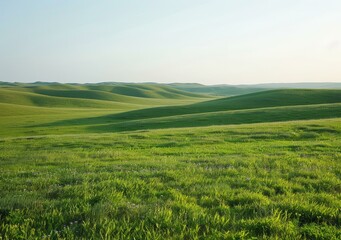 Obraz premium b'Vast green rolling hills under clear blue sky'