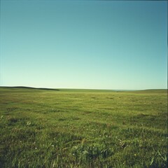 Fototapeta premium b'Vast green grassland under blue sky'