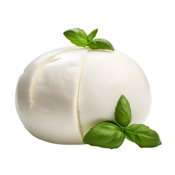 Buffalo mozzarella isolated on transparent or white background, png