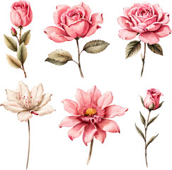 Set of watercolor flower collection