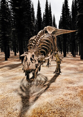 Leiden, Zuid-Holland 1-28-2020: t-rex dinosaur skeleton in museum