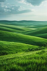 Obraz premium b'Green rolling hills under blue sky and white clouds'
