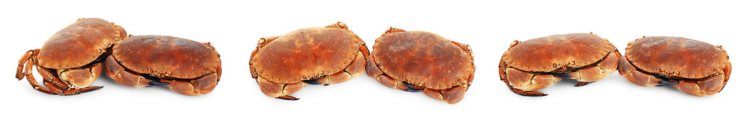 Fresh cooked crabs isolated on white, set