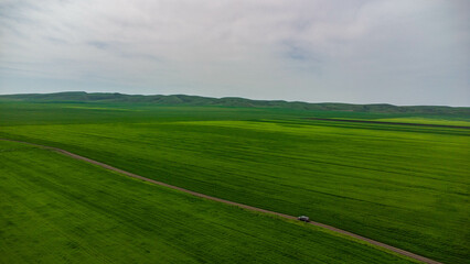 car moves in green field farm top view