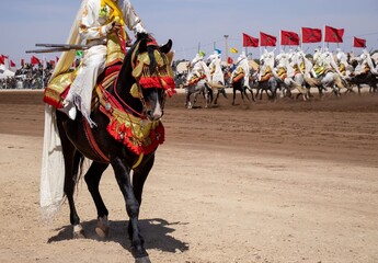 Traditional Tbourida Attire - A Portrait of Moroccan Equestrian Splendor