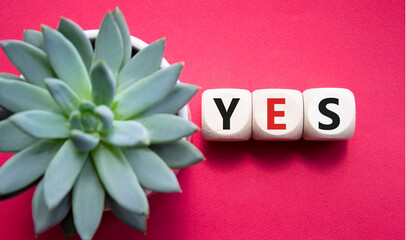 Yes symbol. Wooden blocks with word yes. Beautiful red background with succulent plant. Business...